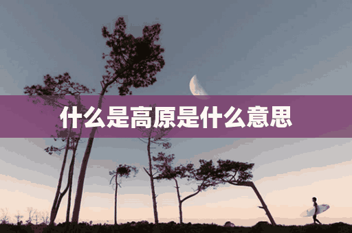 什么是高原是什么意思